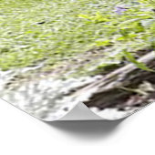 Poster Voiture antique (Coin)