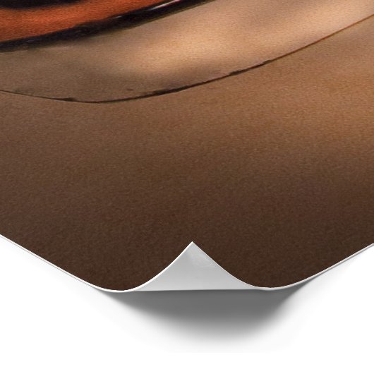 Poster Voiture - Essence Flash Blanche (Coin)