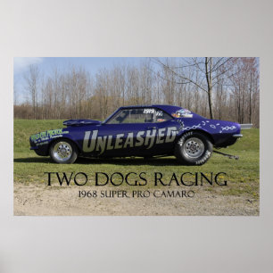 Poster Voiture Super Pro Drag Déleashed