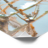 Poster Vol Cardinal Nord - Photo originale (Coin)