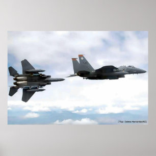 Poster vol d'aigle