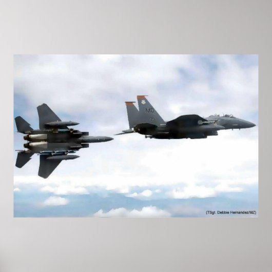 Poster vol d'aigle (Devant)