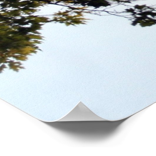 Poster Vol de ballon (Coin)