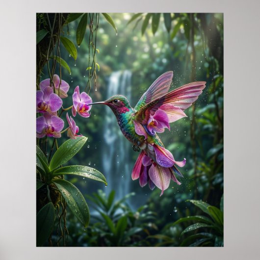 Poster Vol de bijou d'oiseau-mouche orchidée (Devant)