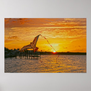 Poster Vol de cerf-volant au coucher du soleil à Key Larg