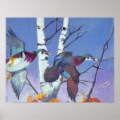 Poster Vol de Fancy (Devant)