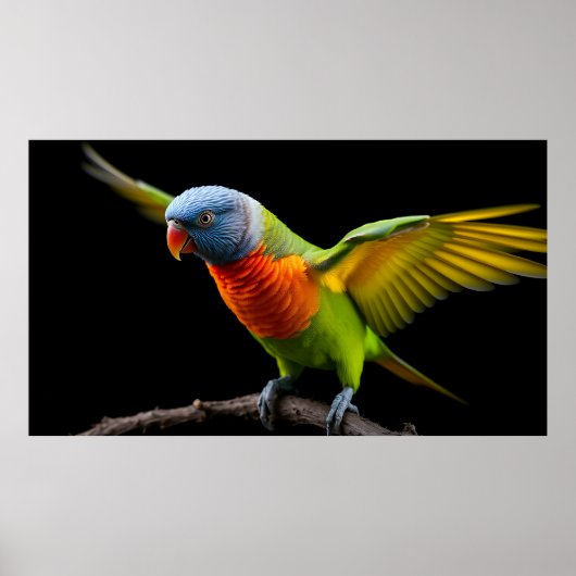 Poster 🌈 Vol de liberté Loriquet - Arc-en-ciel dynamique (Devant)