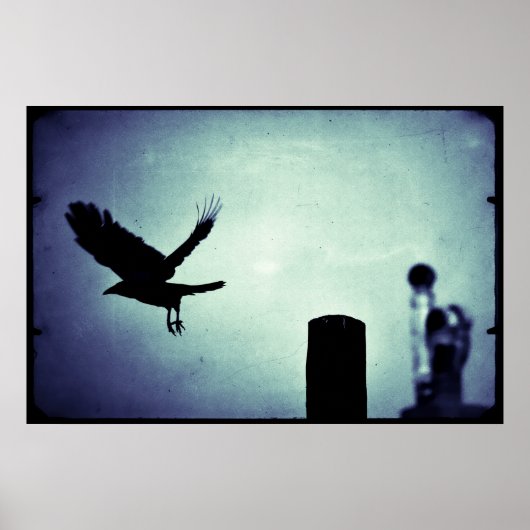 Poster Vol de nuit de la pie (Devant)