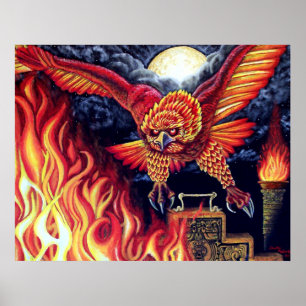 Poster Vol de Phoenix