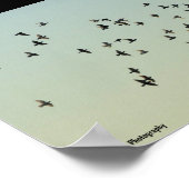 Poster Vol des Pigeons (Coin)