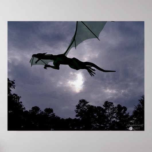 Poster Vol Dragon (Devant)