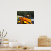 Poster Vol du Bumblecamel (Cuisine)