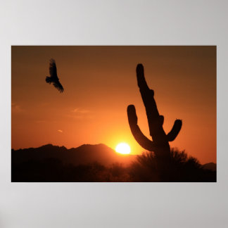 Poster Vol du coucher du soleil