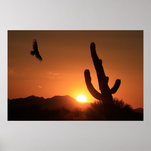 Poster Vol du coucher du soleil (Devant)