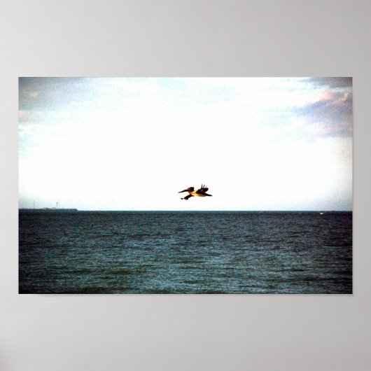 Poster Vol du Pélican (Devant)