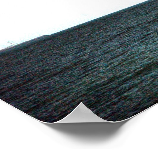 Poster Vol du Pélican (Coin)