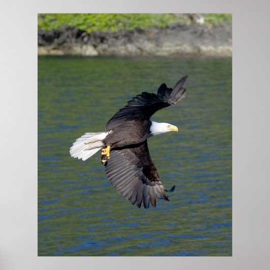 POSTER VOL EAGLE (Devant)
