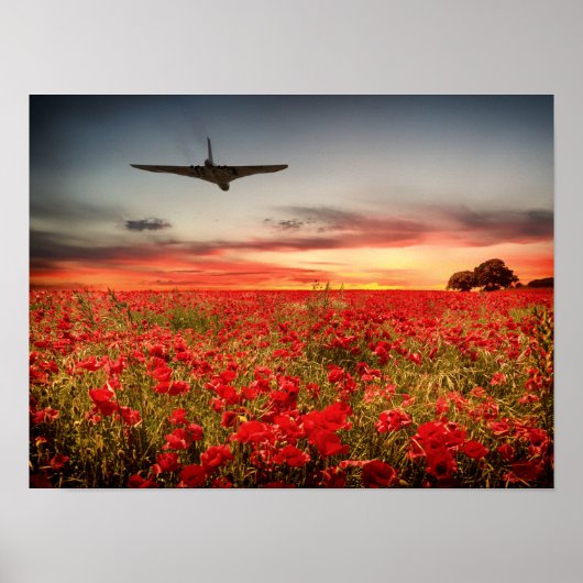 Poster Vol final Vulcan (Devant)