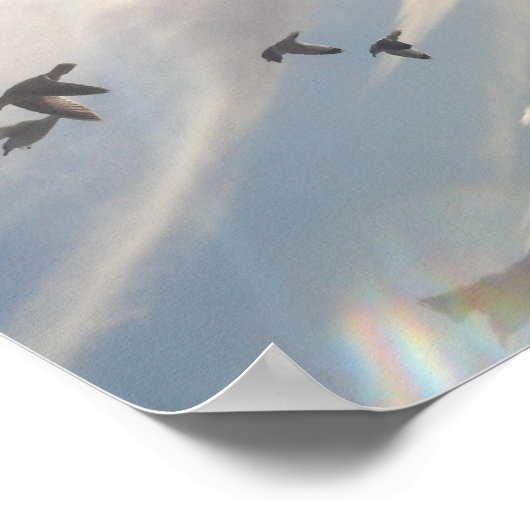 Poster Vol gratuit (Coin)