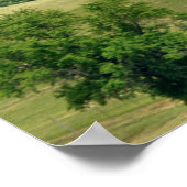 Poster Vol haut (Coin)