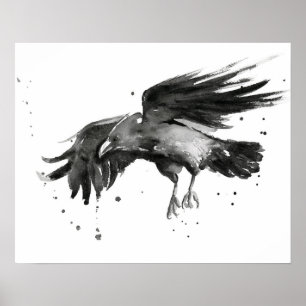Poster Vol Raven peignant la copie d'affiche d'aquarelle