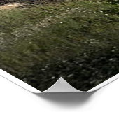 Poster Vol Scotsman Sur Le Main (5539) (Coin)