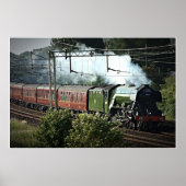 Poster Vol Scotsman Sur Le Main (5539) (Devant)