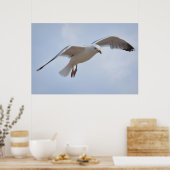 Poster Vol Seagull (Cuisine)