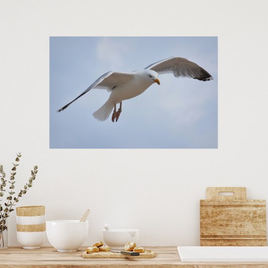 Poster Vol Seagull (Cuisine)