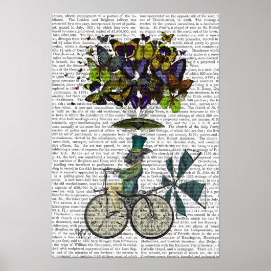 Poster Vol temps Rabbit (Devant)