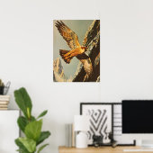 Poster Vol vintage du Faucon Merlin (Bureau à domicile)