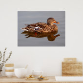 Poster Volaille de l'eau (Cuisine)