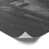 Poster Volailles d'arbre en noir et blanc (Coin)