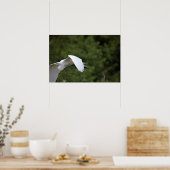 Poster volant d'Aigrettes (Cuisine)