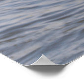 Poster volant de mouettes (Coin)