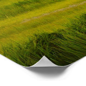 Poster volant du Grand Héron Bleu (Coin)