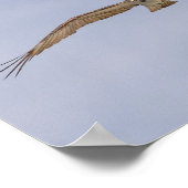 Poster volant Osprey Bird (Coin)