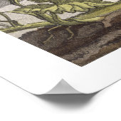 Poster Volcan d'Ario di Turbaco près de Carthagène, Colom (Coin)