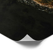 Poster Volcan Payachalas (Coin)