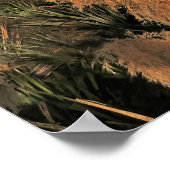 Poster Volcans du Tongariro (Coin)