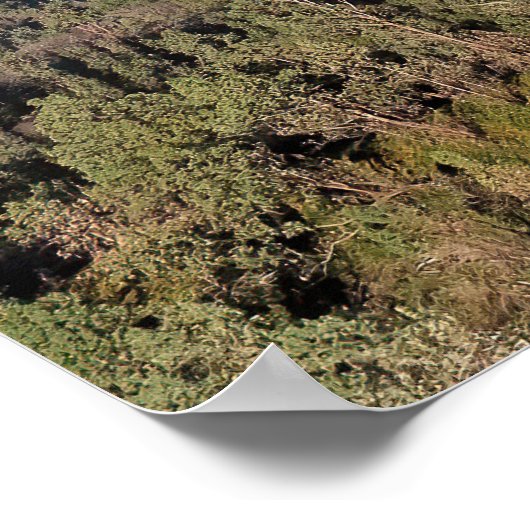 Poster Volcans Est Java (Coin)