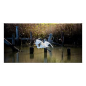 Poster Voler (Devant)