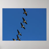 Poster Voler (Devant)