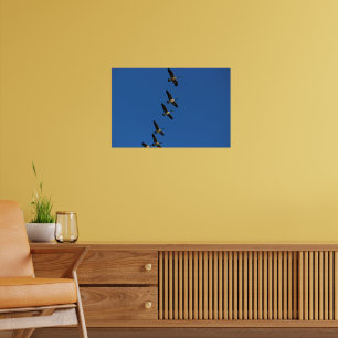 Poster Voler