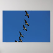 Poster Voler (Devant)