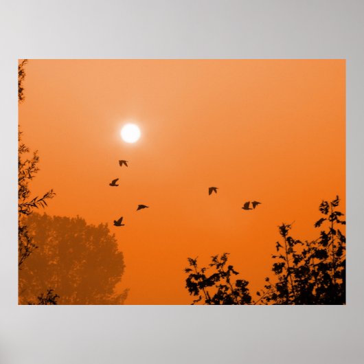 Poster Voler à l'aube Imprimer (Devant)