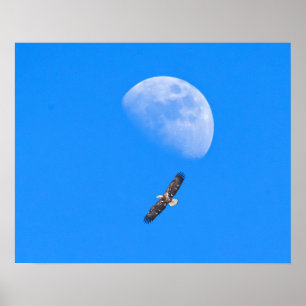 Poster Voler au-delà de la Lune