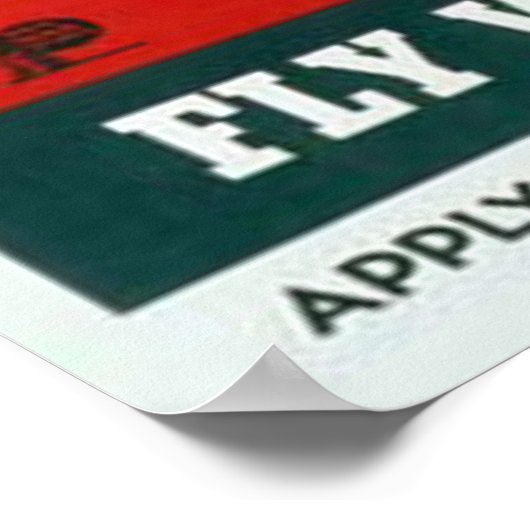 Poster Voler avec les Marines (Coin)