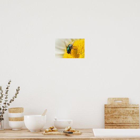 Poster Voler bouteille verte (Cuisine)