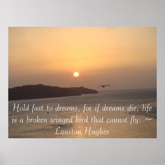 Poster Voler dans le soleil (Devant)